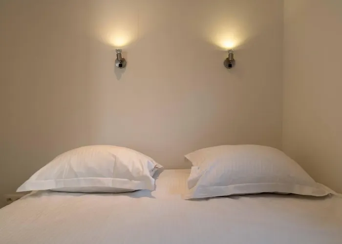 Houseboat-oostende 船屋 *